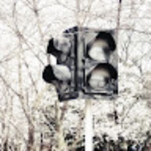 Meet your Posher, Coral